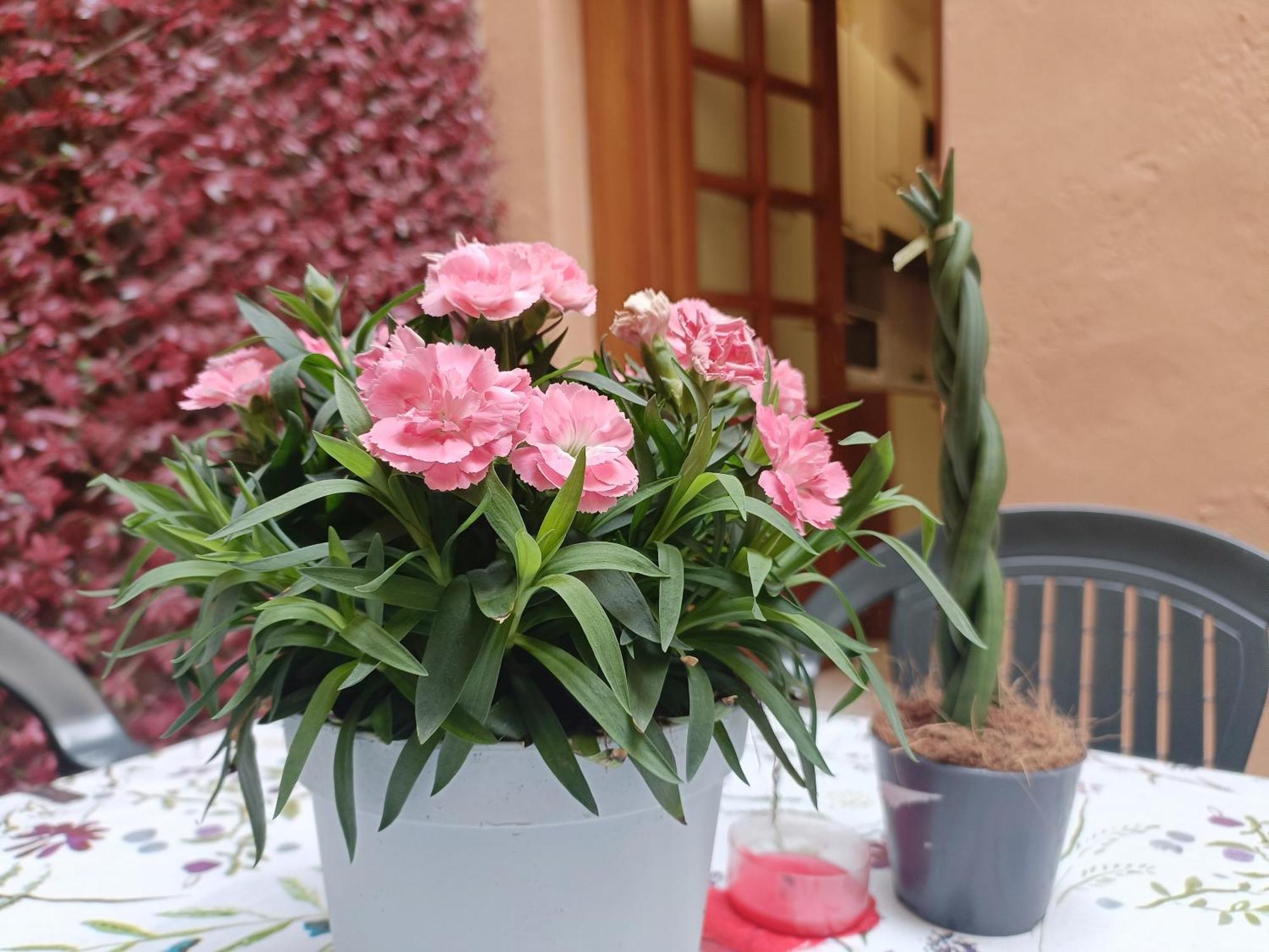 Il Giardino Segreto Lucca Exterior foto